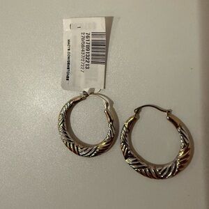 Elegant Silver and Gold Hoop Earrings
